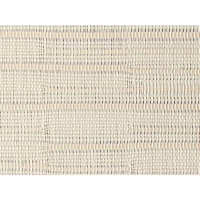 Plastic Mesh【W51507】