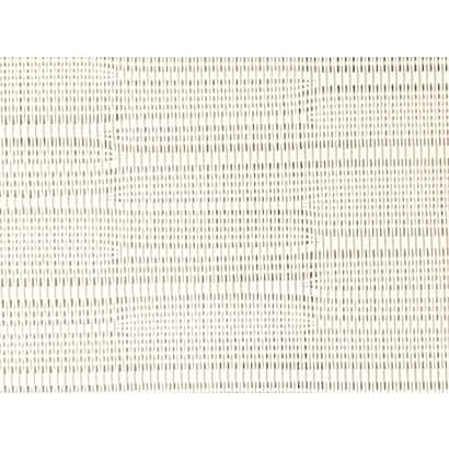 Plastic Mesh【W51506】