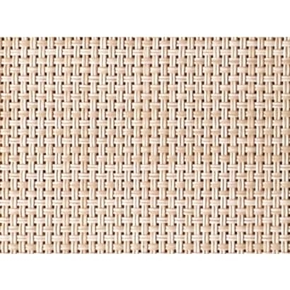 Plastic Mesh 【DB30501】