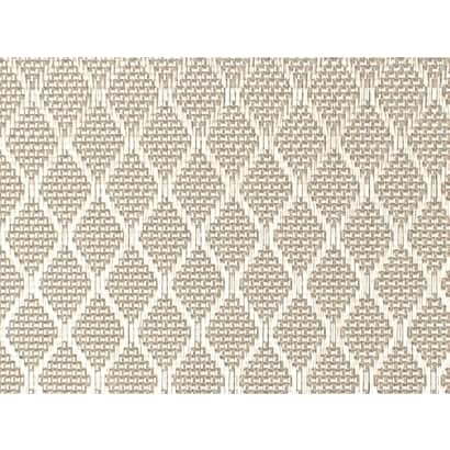 Plastic Mesh【D30101】