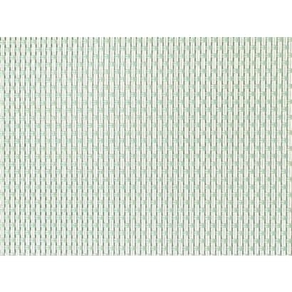 Plastic Mesh【RJH0B-029F】
