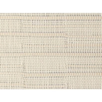 Plastic Mesh【W51507】