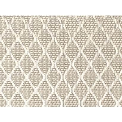 Plastic Mesh【D30101】